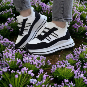 hover image